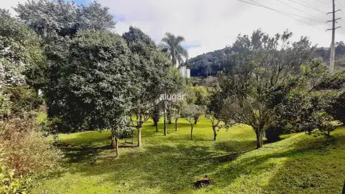 Imóvel 5586
