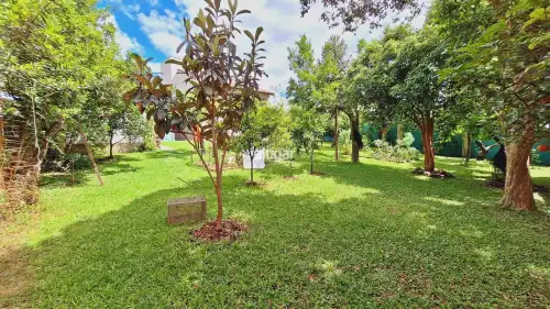 Imóvel 5883