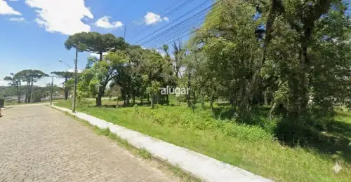 Imóvel 6981
